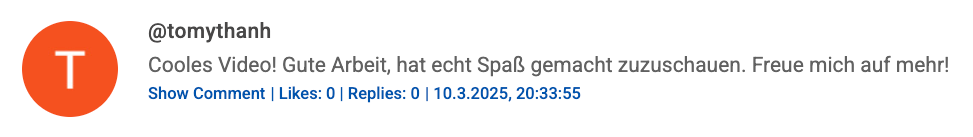 YouTube Comment Screenshot