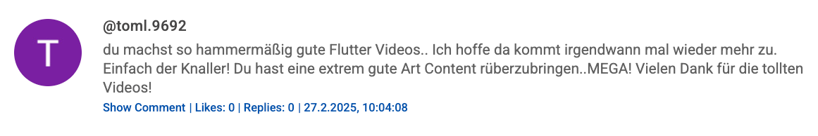YouTube Comment Screenshot