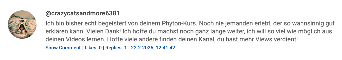 YouTube Comment Screenshot