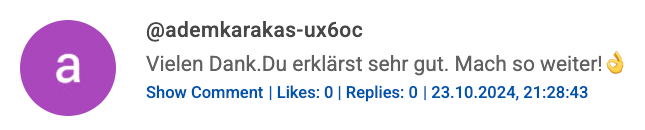 YouTube Comment Screenshot