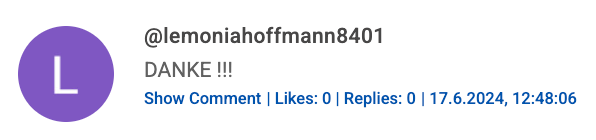 YouTube Comment Screenshot