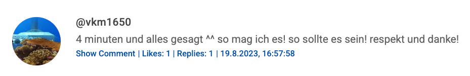 YouTube Comment Screenshot
