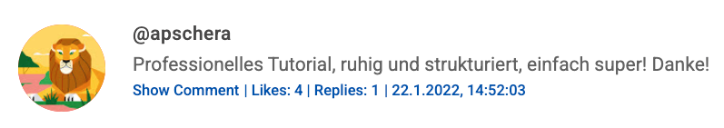 YouTube Comment Screenshot