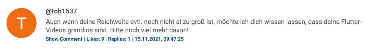 YouTube Comment Screenshot